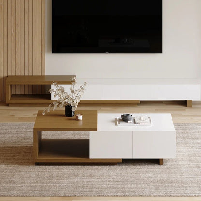 TV Stand and Coffee Table Combo